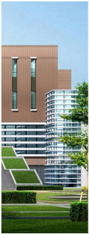 体育app官网登录