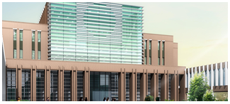 体育app官网登录